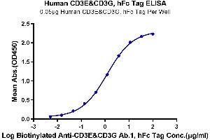 Immobilized Human CD3E&CD3G, hFc Tag at 0. (CD3E & CD3G (AA 23-126) protein (Fc Tag))