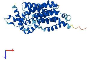 AlphaFold protein structure predicition of Human Recombinant G6PC1 Protein, UniprotID P35575
