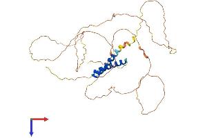 AlphaFold protein structure predicition of Human Recombinant SS18L1 Protein, UniprotID O75177