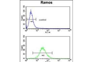 Flow cytometry analysis of Ramos cells (bottom histogram) compared to a negative control cell (top histogram).