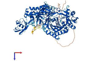 AlphaFold protein structure predicition of Human Recombinant PIWIL1 Protein, UniprotID Q96J94