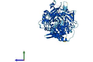 AlphaFold protein structure predicition of Mouse Recombinant Acsbg2 Protein, UniprotID Q2XU92