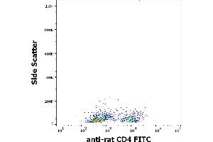 Flow cytometry surface staining pattern of rat thymocytes stained using anti-rat CD4 (OX-35) FITC antibody (concentration in sample 1 μg/mL). (CD4 anticorps  (FITC))