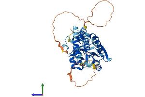 AlphaFold protein structure predicition of Human Recombinant DUSP4 Protein, UniprotID Q13115