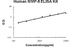 Human MMP-8 PicoKine ELISA Kit standard curve (MMP8 Kit ELISA)