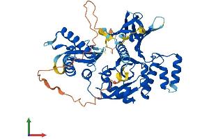 AlphaFold protein structure predicition of Human Recombinant SNX17 Protein, UniprotID Q15036