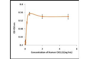 Activity Assay (AcA) image for Chemokine (C-X-C Motif) Ligand 11 (CXCL11) (Active) protein (ABIN5509360)