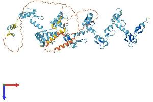 AlphaFold protein structure predicition of Human Recombinant ZNF17 Protein, UniprotID P17021