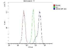 Flow Cytometry analysis of HL-60 cells using anti-NDC80 antibody (ABIN7602585). (NDC80 anticorps  (AA 87-602))