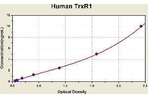 Diagramm of the ELISA kit to detect Human TrxR1with the optical density on the x-axis and the concentration on the y-axis. (TXNRD1 Kit ELISA)