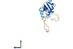 AlphaFold protein structure predicition of Human Recombinant UBL4B Protein, UniprotID Q8N7F7