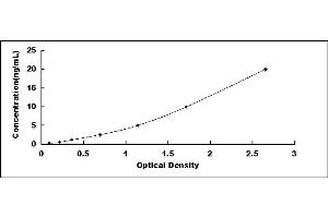 Typical standard curve