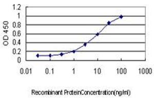 Detection limit for recombinant GST tagged PRKCI is approximately 0. (PKC iota anticorps  (AA 1-100))