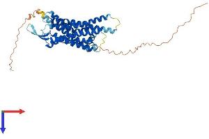 Neuromedin B Receptor (NMBR) (AA 1-390) protein (His tag)