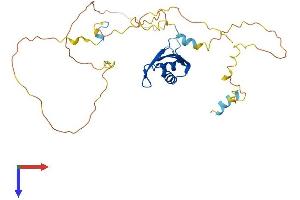 AlphaFold protein structure predicition of Mouse Recombinant Nup35 Protein, UniprotID Q8R4R6