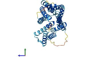 AlphaFold protein structure predicition of Mouse Recombinant Slc35b1 Protein, UniprotID P97858