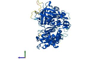 AlphaFold protein structure predicition of Human Recombinant NDOR1 Protein, UniprotID Q9UHB4