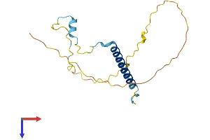 AlphaFold protein structure predicition of Mouse Recombinant Tceal1 Protein, UniprotID Q921P9
