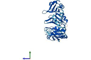 AlphaFold protein structure predicition of Human Recombinant PABPC5 Protein, UniprotID Q96DU9