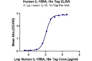 Immobilized Human IL-15 at 1 μg/mL (100 μL/Well) on the plate.