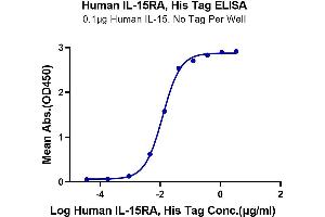 Immobilized Human IL-15 at 1 μg/mL (100 μL/Well) on the plate. (IL15RA Protein (His-Avi Tag))