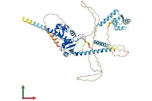 AlphaFold protein structure predicition of Human Recombinant LARP7 Protein, UniprotID Q4G0J3
