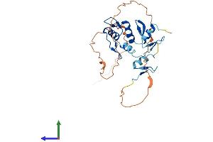 AlphaFold protein structure predicition of Mouse Recombinant Snai2 Protein, UniprotID P97469