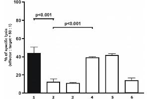 Analysis of cytolytical activity Analysis of cytolytical activity of human polyclonal NK cells on target melanoma cells. (HLAG anticorps  (Biotin))