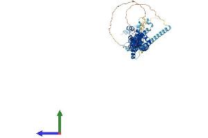 AlphaFold protein structure predicition of Mouse Recombinant Prc1 Protein, UniprotID Q99K43