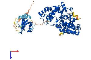 AlphaFold protein structure predicition of Mouse Recombinant Polm Protein, UniprotID Q9JIW4