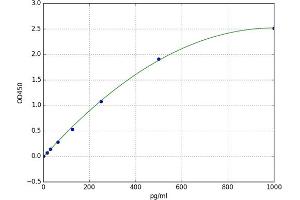 Chemokine (C-C Motif) Ligand 6 (CCL6) ELISA Kit