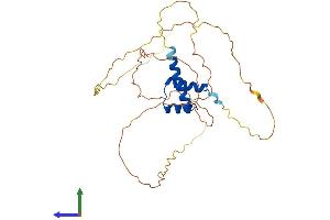AlphaFold protein structure predicition of Human Recombinant NANOG Protein, UniprotID Q9H9S0