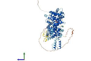 AlphaFold protein structure predicition of Human Recombinant STRIP2 Protein, UniprotID Q9ULQ0