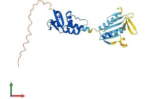 AlphaFold protein structure predicition of Human Recombinant KCTD4 Protein, UniprotID Q8WVF5