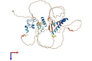 AlphaFold protein structure predicition of Mouse Recombinant Tesmin Protein, UniprotID Q9WTJ6