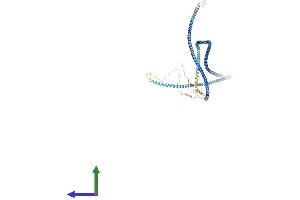 AlphaFold protein structure predicition of Human Recombinant ODF2 Protein, UniprotID Q5BJF6