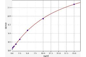 BH3 Interacting Domain Death Agonist (BID) ELISA Kit