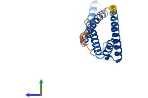 AlphaFold protein structure predicition of Human Recombinant TIMM17B Protein, UniprotID O60830