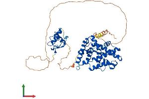 AlphaFold protein structure predicition of Mouse Recombinant Esrrg Protein, UniprotID P62509