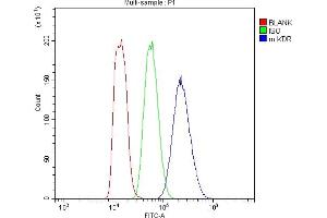 Flow Cytometry analysis of MFC cells using anti-VEGF Receptor 2 antibody (ABIN5693262). (VEGFR2/CD309 anticorps  (AA 20-244))