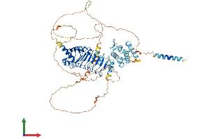 AlphaFold protein structure predicition of Mouse Recombinant Lrch4 Protein, UniprotID Q921G6