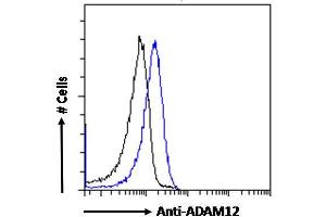 ABIN185301 Flow cytometric analysis of paraformaldehyde fixed HeLa cells (blue line), permeabilized with 0. (ADAM12 anticorps  (N-Term))