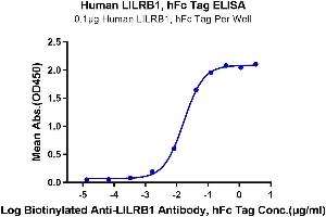 Immobilized Human LILRB1, hFc Tag at 1 μg/mL (100 μL/Well) on the plate.