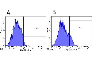 Flow-cytometry using anti-CD25 antibody Basiliximab   Cynomolgus monkey lymphocytes were stained with an isotype control (panel A) or the rabbit-chimeric version of Basiliximab ( panel B) at a concentration of 1 µg/ml for 30 mins at RT. (Recombinant IL2RA (Basiliximab Biosimilar) anticorps)
