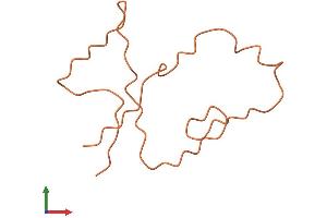 AlphaFold protein structure predicition of Human Recombinant KRTAP7-1 Protein, UniprotID Q8IUC3