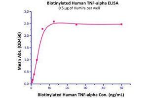 Immobilized Humira at 5 µg/mL (100 µl/well) can bind Biotinylated Human TNF-alpha  with a linear range of 0.