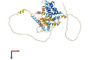 AlphaFold protein structure predicition of Mouse Recombinant Arhgap36 Protein, UniprotID B1AUC7