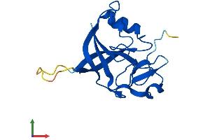 AlphaFold protein structure predicition of Human Recombinant GGACT Protein, UniprotID Q9BVM4