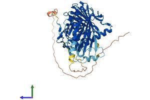 AlphaFold protein structure predicition of Mouse Recombinant Osbpl2 Protein, UniprotID Q8BX94