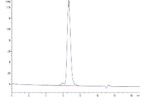 The purity of Biotinylated Human PDGF R beta is greater than 95 % as determined by SEC-HPLC.